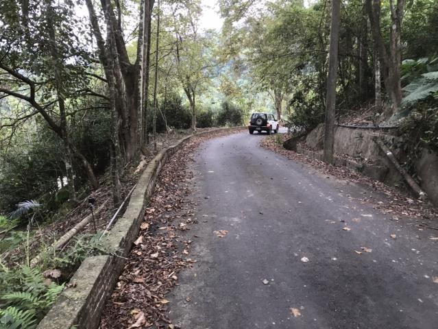 南投鹿谷農地-10