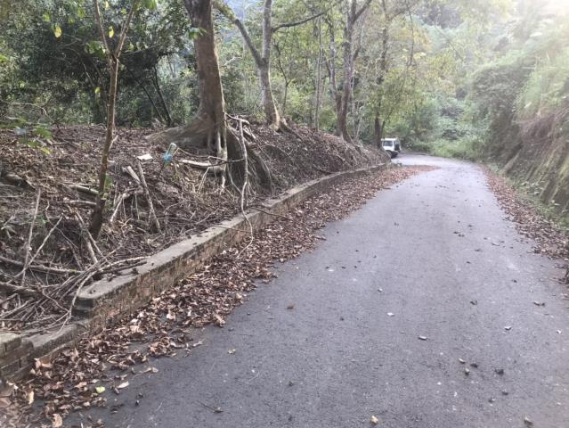 南投鹿谷農地-9