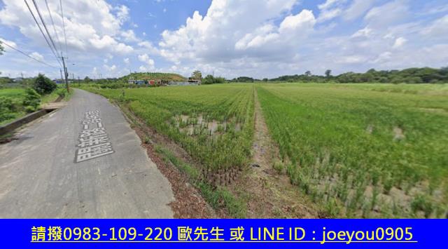 關廟法拍農地-12