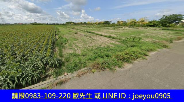 台南學甲法拍農地-4