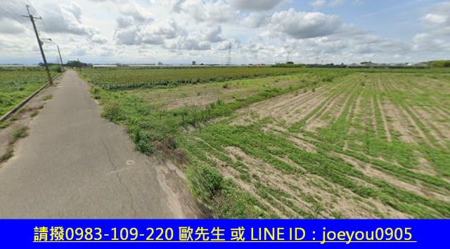 台南學甲法拍農地-5