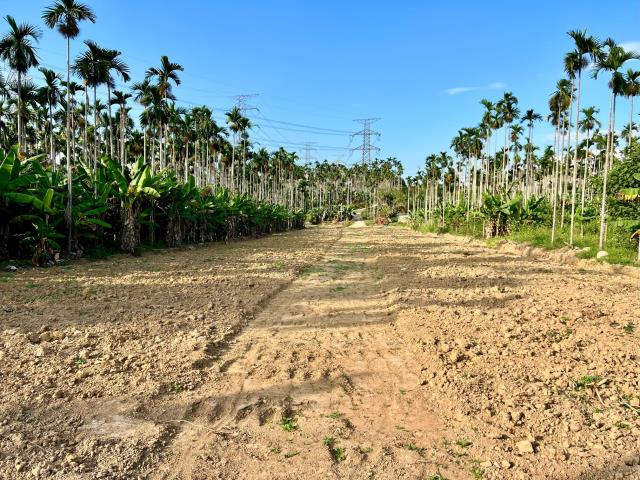 南投中寮農地-4