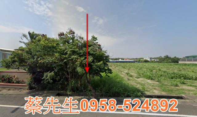 西港法拍農地-9