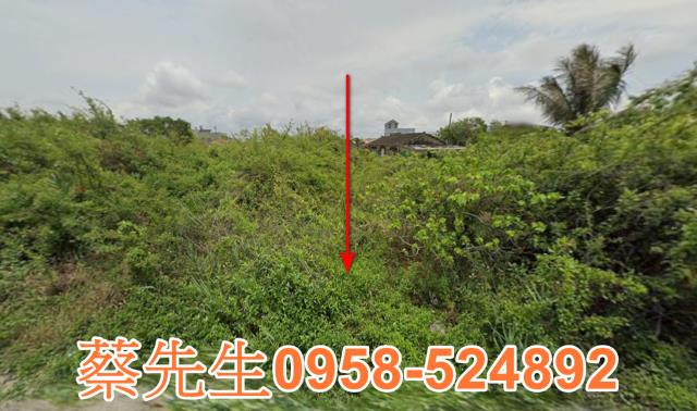 將軍建地法拍-1