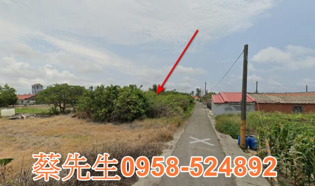 將軍建地法拍-5