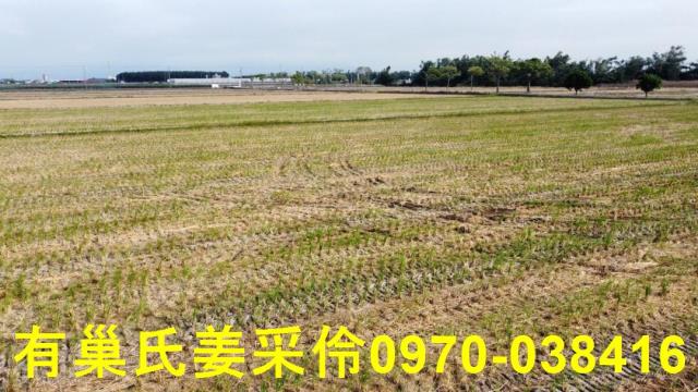 嘉義大林農地-10