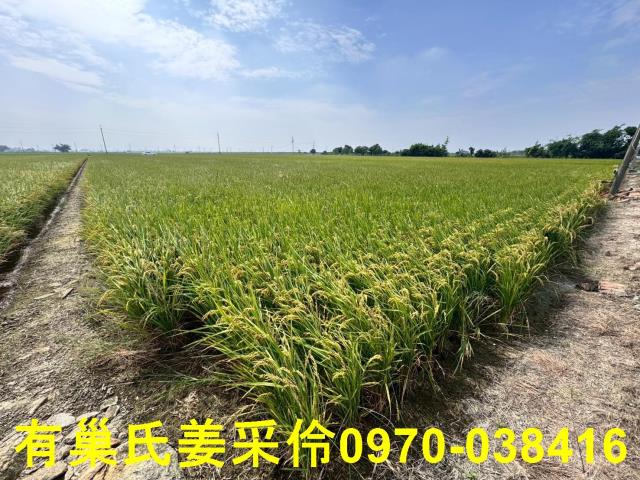 嘉義溪口農地-2