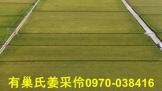 嘉義溪口農地-6