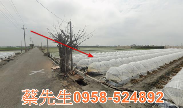 彰化竹塘農地拍賣-2