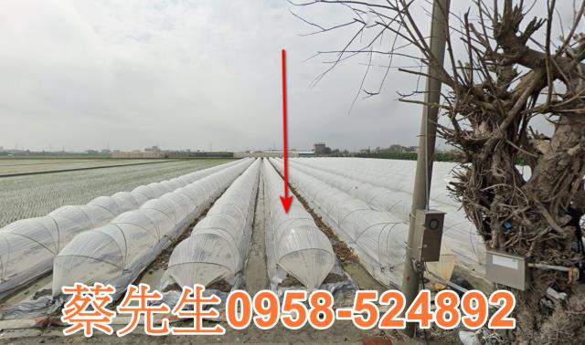彰化竹塘農地拍賣-5