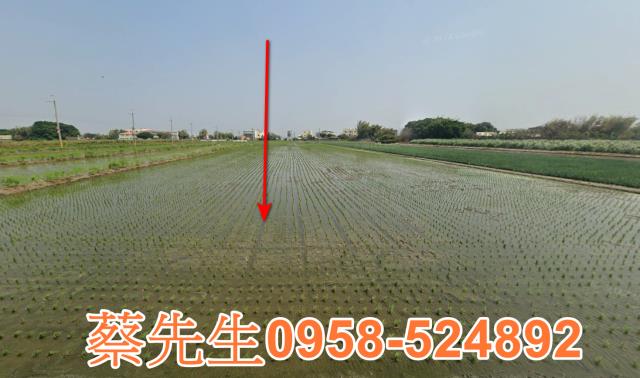 二林法拍農地-9