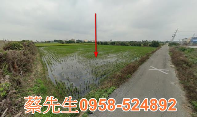 芳苑農地法拍-13