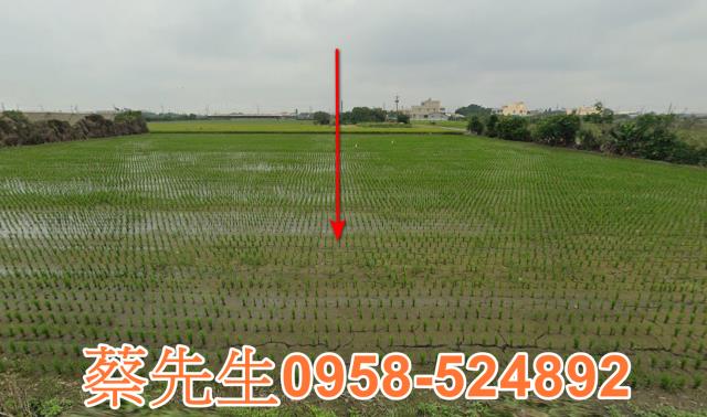 芳苑農地法拍-4