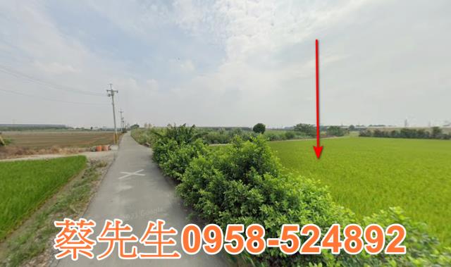 芳苑農地法拍-6