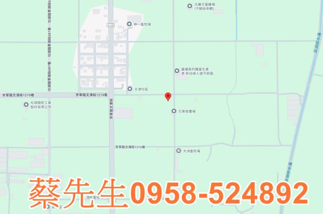 芳苑農地法拍-8