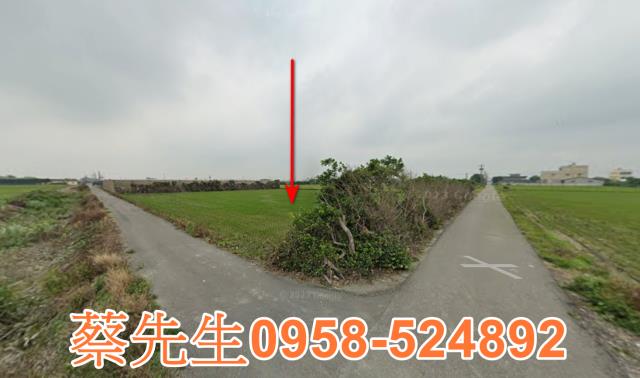 芳苑農地法拍-9