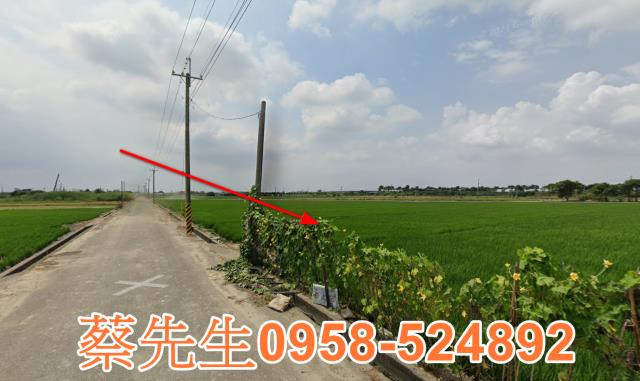 斗南拍賣農地-4