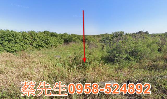 雲林法拍農地-9