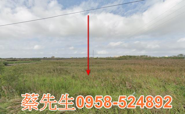 雲林水林法拍農地-1