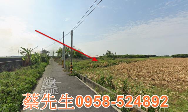 雲林水林法拍農地-5