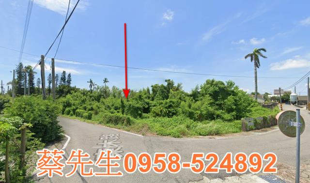 雲林元長法拍農地-13