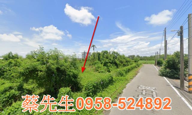 雲林元長法拍農地-6