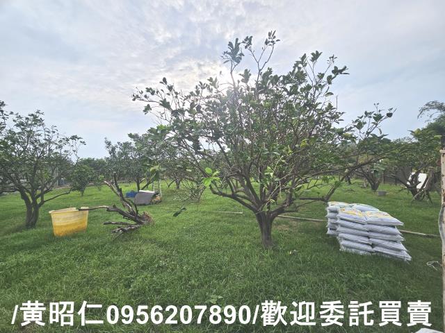 台南麻豆農地-1