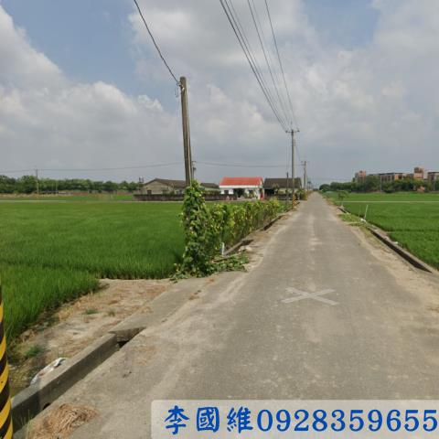 斗南農地拍賣-2