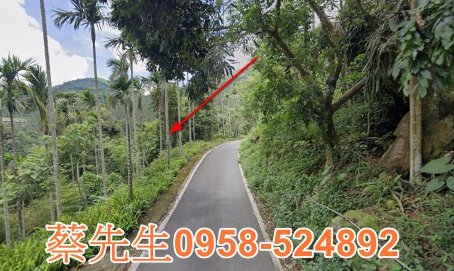 嘉義農地法拍-13