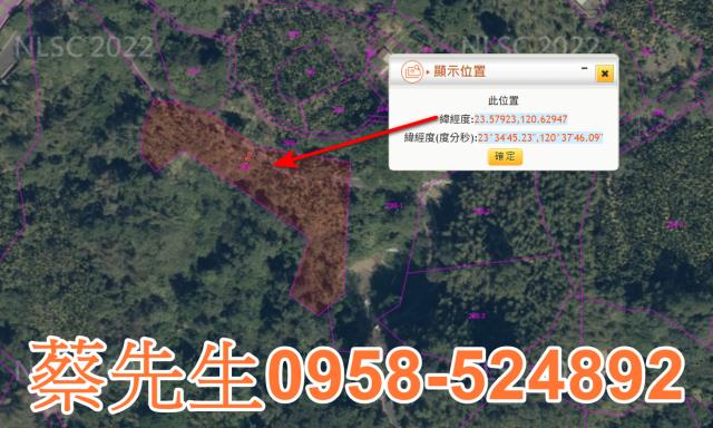 嘉義農地法拍-3