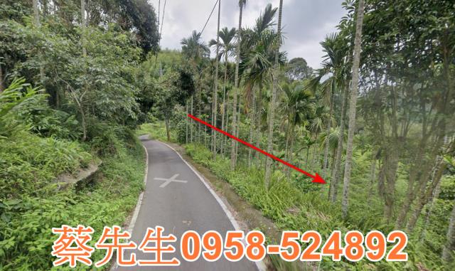 嘉義農地法拍-6