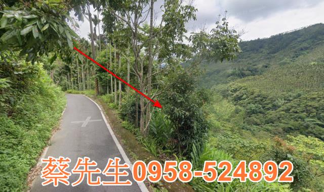 嘉義農地法拍-7