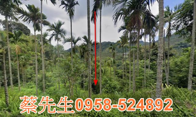 嘉義農地法拍-9