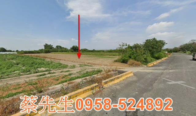嘉義法拍農地-12