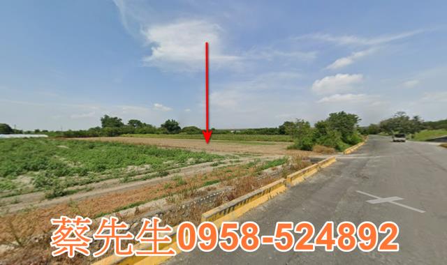 嘉義法拍農地-13