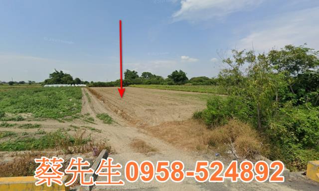 嘉義法拍農地-9