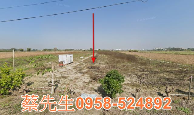 嘉義農地法拍-1