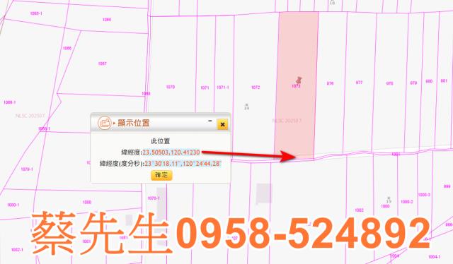 嘉義農地法拍-2