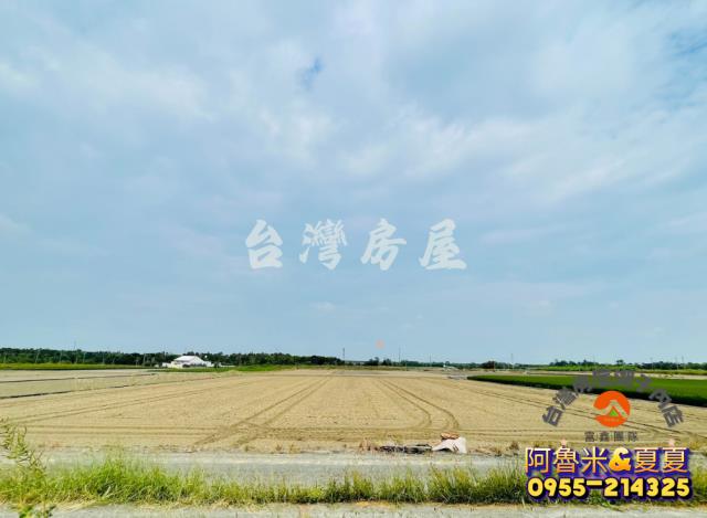 嘉義水上農地-3