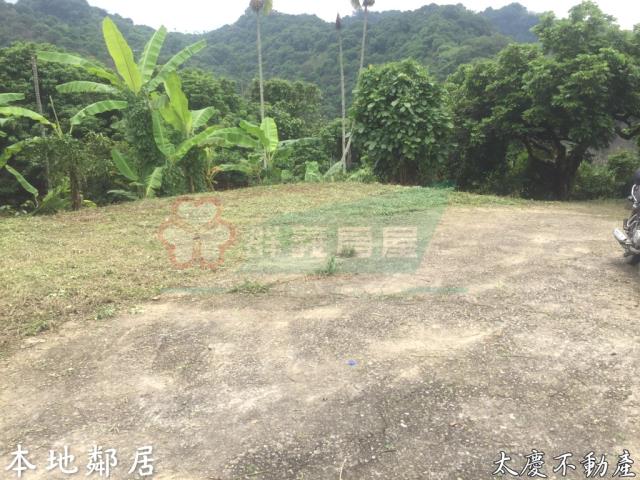 台中霧峰農地-9