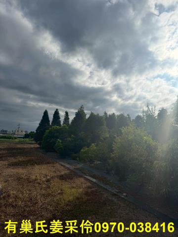 嘉義新港農地-3