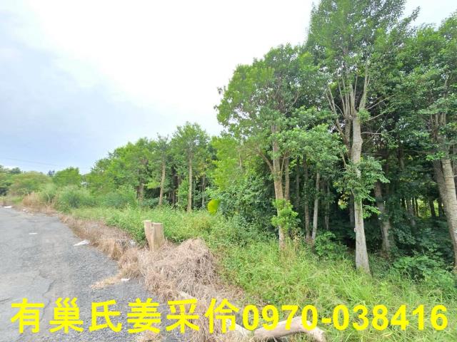 嘉義民雄農地-14