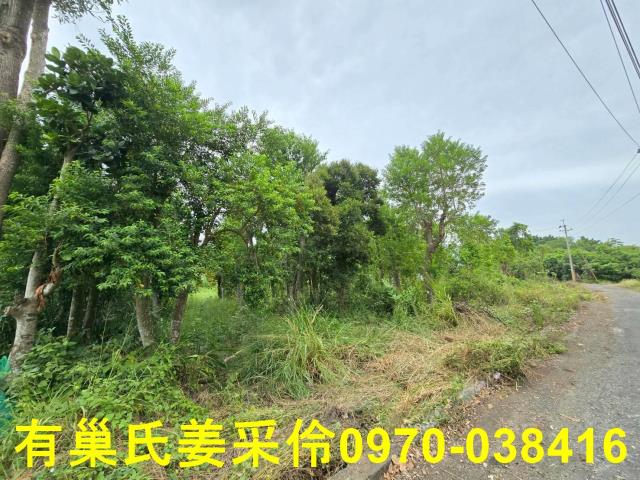 嘉義民雄農地-6