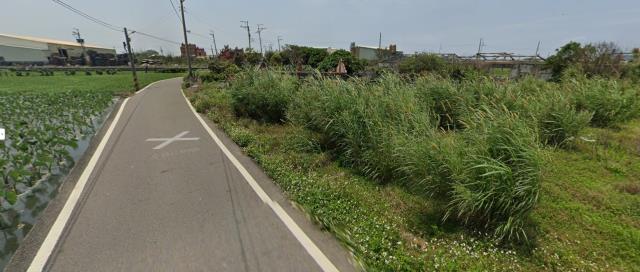 大安區法拍農地-5