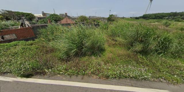 大安區法拍農地-9