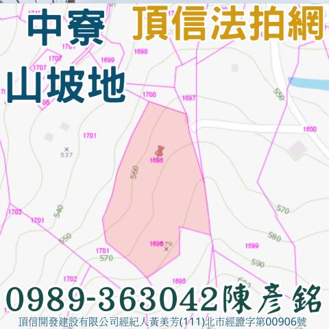 南投農地法拍-3