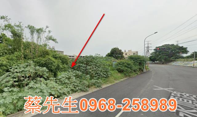 大肚法拍農地-14