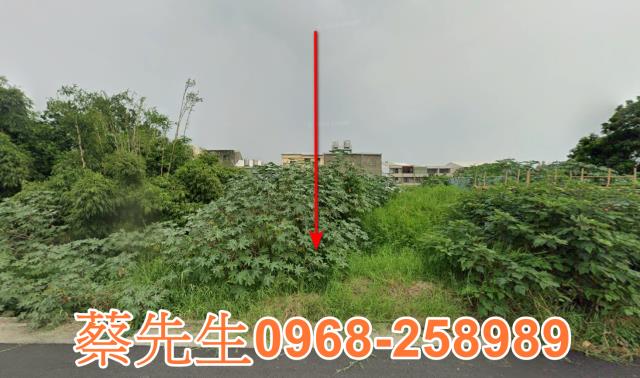 大肚法拍農地-1