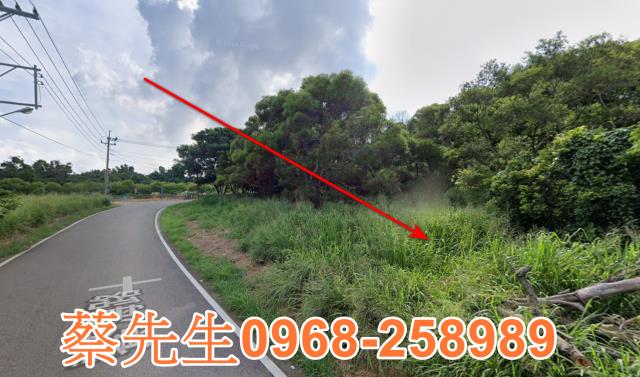 台中休閒地拍賣-15