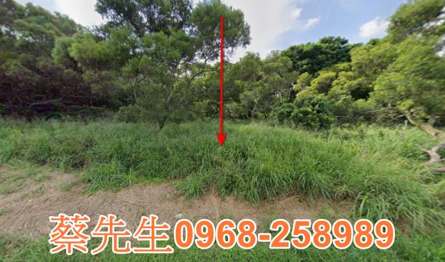 台中休閒地拍賣-1